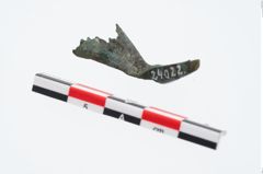 Foto von Bronzekahnfibel (NHMW-PRAE-024022)